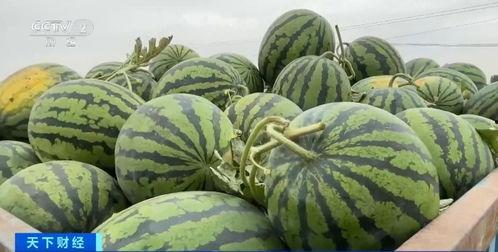 热点吃瓜,吃瓜群众如何解读明星事件