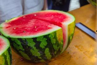 吃瓜长清大学体育生,长清大学体育生风采录