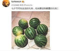 网红热瓜,揭秘网络红人的崛起与争议