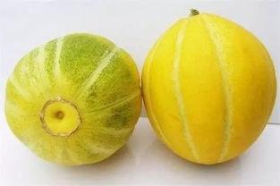 热门大瓜汇总 今日吃瓜51cg,盘点娱乐圈最新爆料，吃瓜群众狂欢时刻