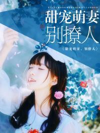 娱乐圈小说 人,星光璀璨的逆袭之路