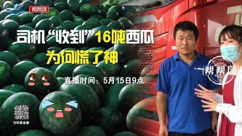 今日吃瓜爆料,娱乐圈最新猛料大揭秘！