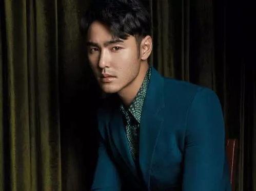 娱乐圈双男主 实时黑料曝光,实时黑料曝光，真相与谣言的较量