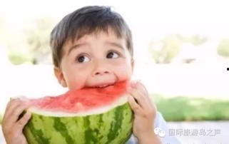 热门大瓜每日必吃大瓜 热门大瓜热心的朝阳爆料,朝阳爆料，揭秘娱乐圈最新热点